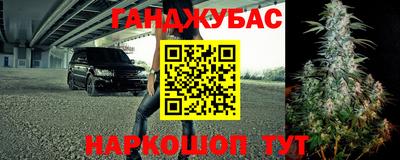 a pvp Тара