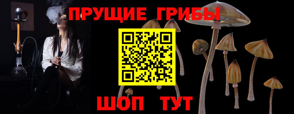 Галлюциногенные грибы GOLDEN TEACHER  Вход с VPN  Назарово 